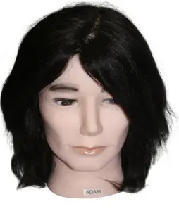 Mannequin - Adam (Male without beard)